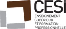 GROUPE CESI