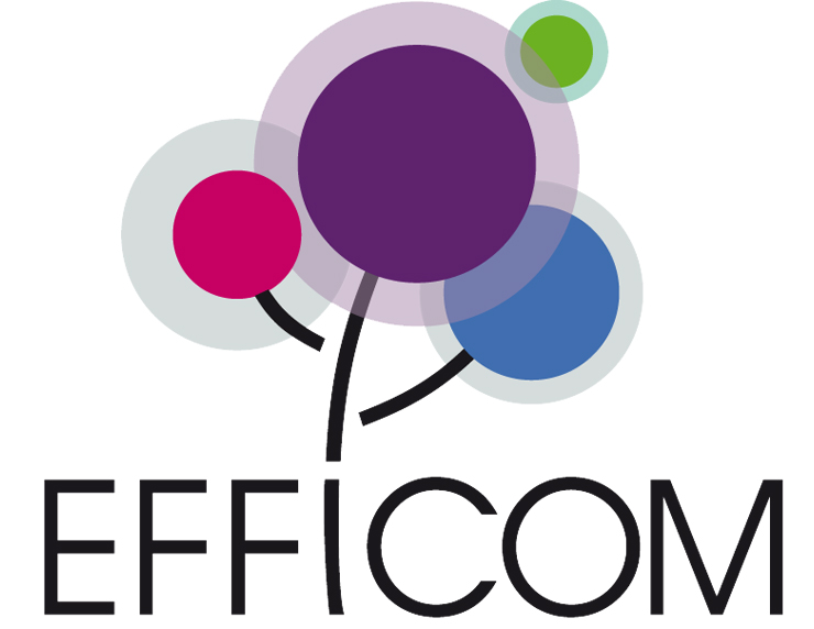 EFFICOM (Campus Sciences-U Lille - EDUCTIVE GROUP)